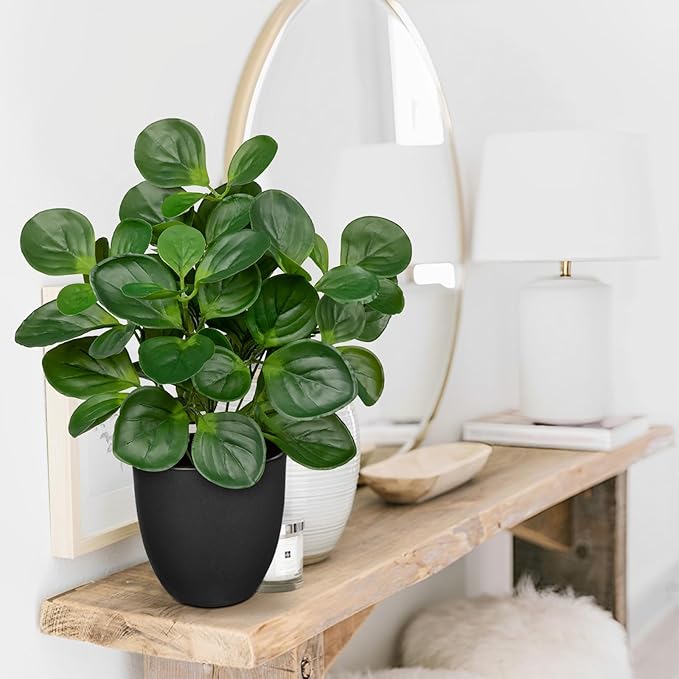 14.5" Artificial Plants Indoor Home Decor, Fake Potted Silk Plants for Shelves Living Room Decor, Small Artificial Office Desk Plants in Pots, Faux Peperomia Hope Tropical House Plant, Sets of 2