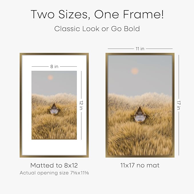 Homeforia 11x17 Bronze Picture Frame, High End Metal 11x17 Brass Poster Frames with Mat 8x12 for Photo, 11 x 17 Frame Matted to 8 by 12 inch Print, 17x11 Thin Frame, Tempered Glass, Wall Kit, Set of 2