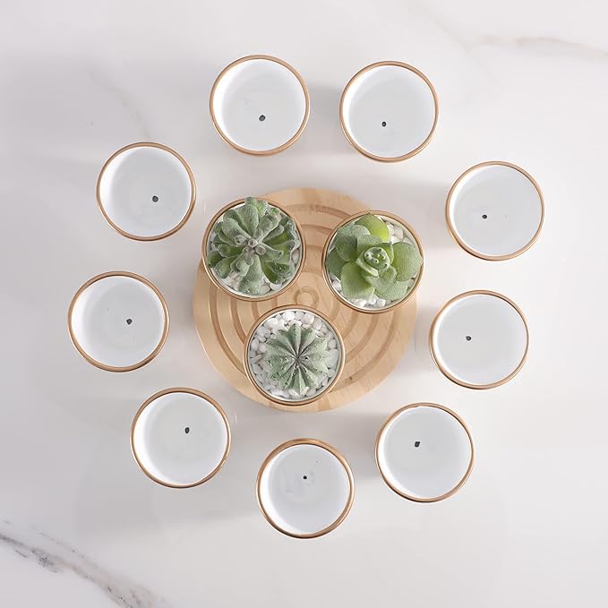 36 PCS Small Mini White&Gold Clay Pots with Drainage Holes,2.5inch Terra Cotta Pot Clay Ceramic Pottery Planter,Succulent Nursery Pot/Cactus Plant Pot,for Indoor/Outdoor Plants, Crafts, Wedding Favor