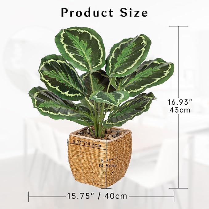 Briful Fake Plants Potted Calathea Medallion Artificial Plants Indoor Realistic Greenery Faux Plants in Square Plastic Rattan Baskets for Home Decor Farmhouse Office Weddings