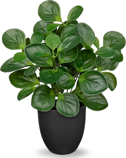 14.5" Artificial Plants Indoor Home Decor, Fake Potted Silk Plants for Shelves Living Room Decorative, Small Artificial Office Desk Plants in Pots, Faux Peperomia Hope Tropical House Plant
