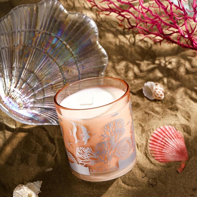 ROMIIE ZOI Scented Candle - Life of Sea- 6oz Aromatherapy Soy Wax Jar Candle for Home, Gifts for Women - 170g