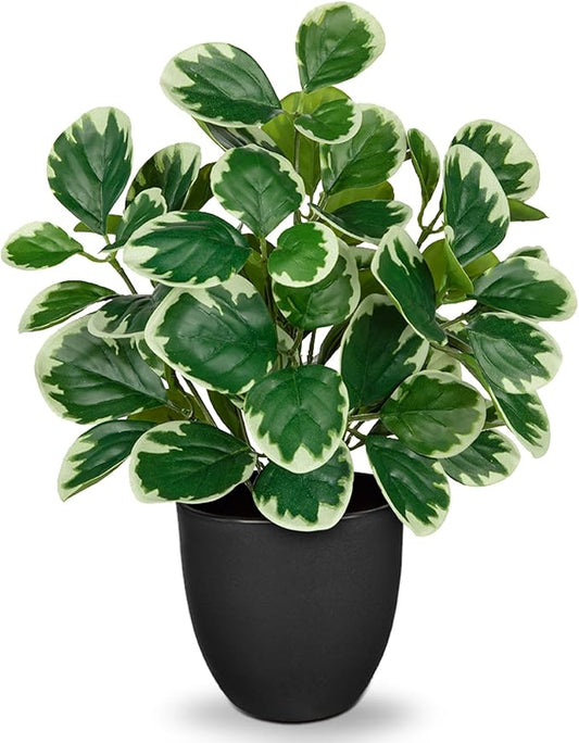 14.5" Artificial Plants Indoor Home Decor, Fake Potted Silk Plants for Shelves Living Room Decorative, Small Artificial Office Desk Plant in Pots, Faux Peperomia Hope Tropical House Plant