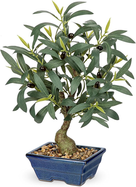 Briful Small Olive Trees Artificial Decor 18'' Fake Olive Plant with Blue Bonsai Pot Decorative Olive Tree for Home Office Countertop Kitchen Table Farmhouse Decor