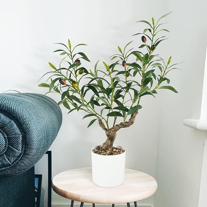 Fake Olive Plants 2FT, Artificial Small Olive Tree Indoor, Faux Potted Plants Decor for Tabletop, Desk, Shelf, Office, Kitchen, Living Room, Bedroom, Bathroom