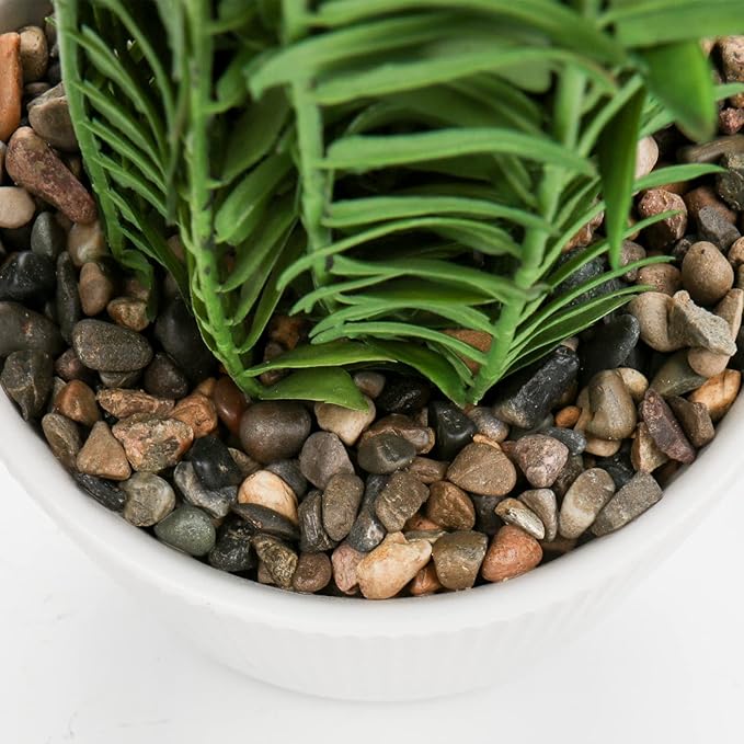 DILATATA Faux Plant Indoor in Ceramic Pot 16" Artificial Potted Boston Fern Fake House Plants for Desk Office Bathroom Garden Decoration