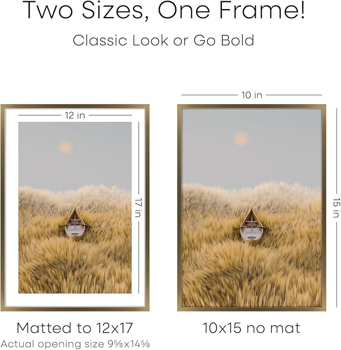 Homeforia 12x17 Picture Frame Bronze, High End Metal 12x17 Brass Poster Frames with Mat 10x15 Photo, 12 x 17 Frame Matted to 10 by 15 inch Print, 17by12 Thin Frames, Tempered Glass, Wall Kit, Set of 2