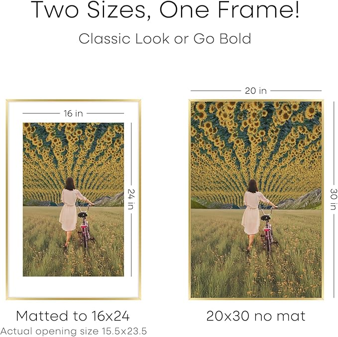 Homeforia 20x30 Poster Frame Gold, High End Metal 20 x 30 Picture Frames with Mat 16 by 24 Photo, 20x30 Gold Frame Matted to 16x24 Print, 30x20 Large Hanging Frames, Tempered Glass, Wall Kit, Set of 2