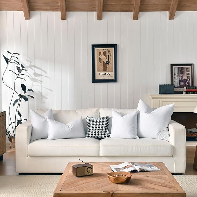 22x22 Decorative Throw Pillow Inserts-Down Feather Pillow Inserts-Square-Cotton Fabric-Set of 2-White.