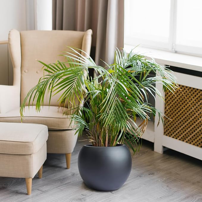 9.7" H x 12" D Globo Fiberstone Round Planter with Drainage Hole, Weather Resistant, Smooth Finish, Planters for Indoor Plants & Outdoor, 2 Extra Coco Mats (Black, 7.8" Pot Opening)