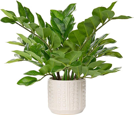 Briful Faux Plants Indoor 17" Artificial ZZ Plants in Ceramic Pot Fake Potted Zamioculcas Silk Plants for Home Table Decor Bedroom Aesthetic (1Pack)