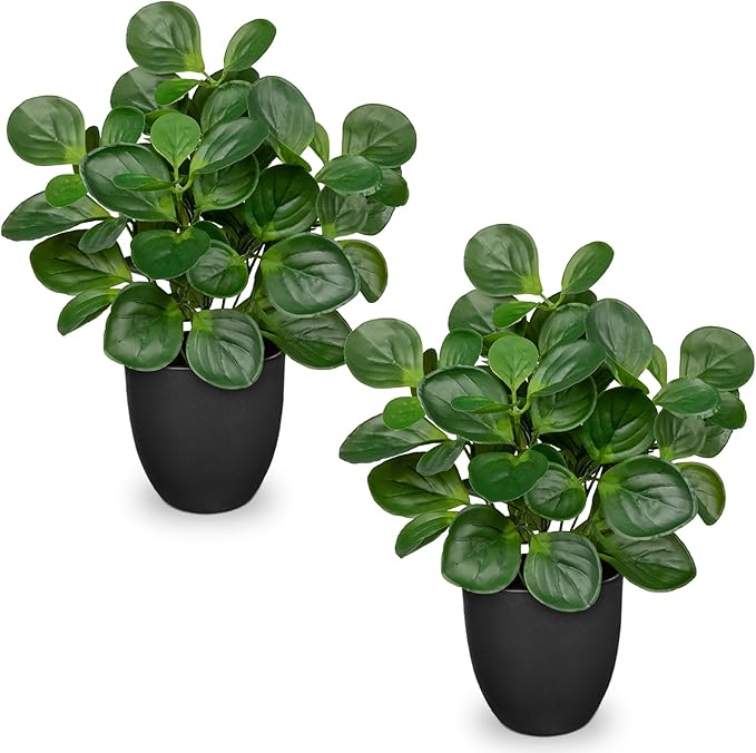 14.5" Artificial Plants Indoor Home Decor, Fake Potted Silk Plants for Shelves Living Room Decor, Small Artificial Office Desk Plants in Pots, Faux Peperomia Hope Tropical House Plant, Sets of 2