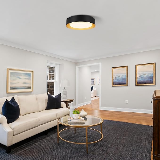 Modern Flush Mount Ceiling Lights,Minimalist 16.5IN Round Close to Ceiling Light Fixtures,Black and Gold Metal Ceiling Lighting Lamp for Living Room,Dining Room,Bedroom,Kitchen