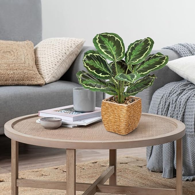 Briful Fake Plants Potted Calathea Medallion Artificial Plants Indoor Realistic Greenery Faux Plants in Square Plastic Rattan Baskets for Home Decor Farmhouse Office Weddings