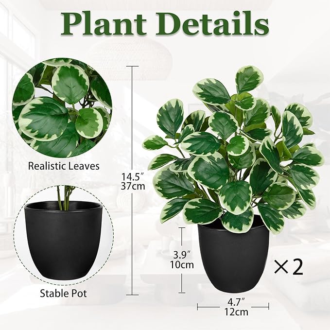 Sets of 2 Artificial Plants Indoor Home Decor, 14.5" Fake Potted Silk Plants for Shelves Living Room Decor, Small Artificial Office Desk Plant in Pots, Faux Peperomia Hope Tropical House Plant