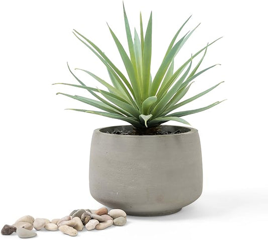 Kurrajong Farmhouse Artificial Plant | Fake Plant | Artificial Succulent in Pot | Fake Succulent | Faux Plant Indoor | Faux Greenery Desk Decor