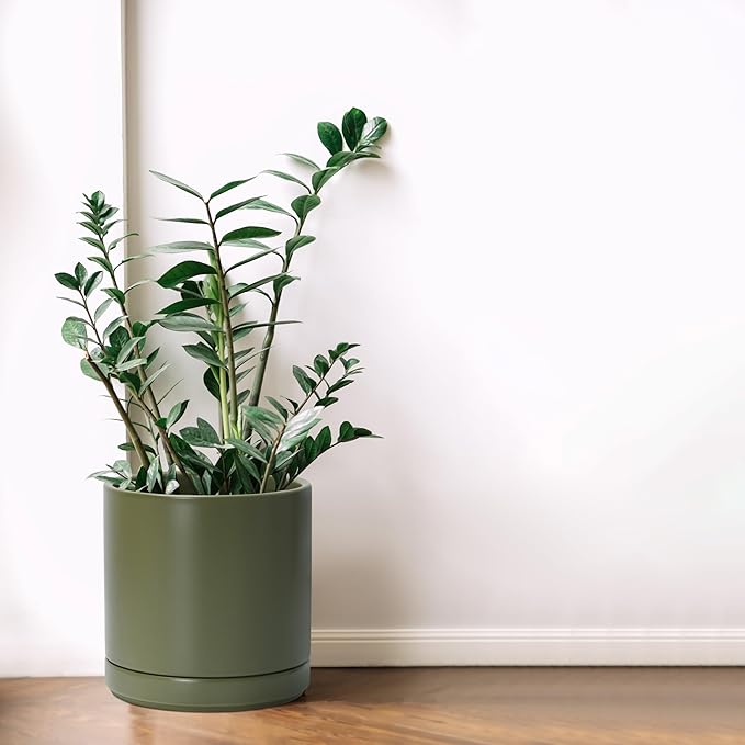 D'vine Dev 8.2 Inch Ceramic Planter Pot with Drainage Hole and Saucer, Indoor Cylinder Round Planter Pot, Olive, 94-O-D-J