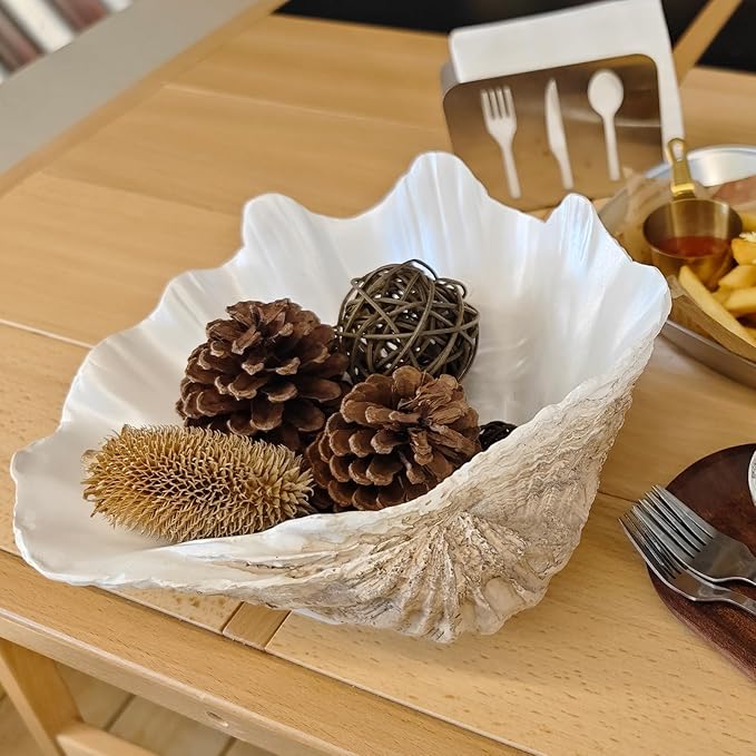 Medium Pearl White Weathering Scalloped Clam Shell Bowl Sea Shell Decor for Nautical Beach House,Coastal Decor Gift of Housewarming and Wedding Party