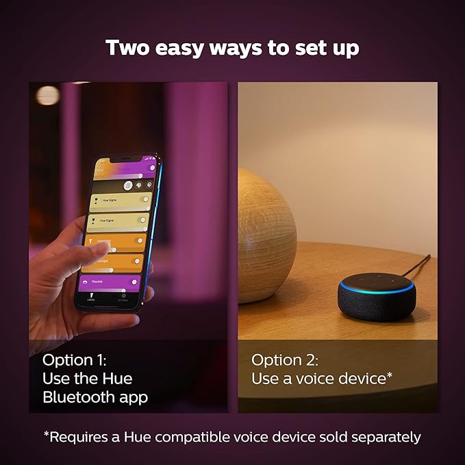 Philips Hue Iris Smart Table Lamp, Silver - White and Color Ambiance LED Color-Changing Light - 1 Pack - Control with Hue App - Compatible with Alexa, Google Assistant, and Apple Homekit