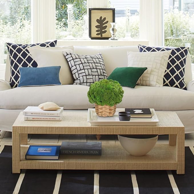 Briful Succulent Plants Artificial Small Faux Succulents Arrangement in Woven Basket Fake Silk Plants Indoor for Home Office Table Centerpiece Shelf Bathroom Decor