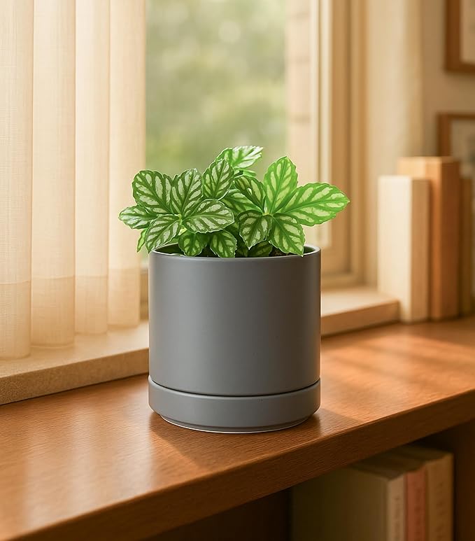 D'vine Dev 4.7 Inch Ceramic Planter Pot with Drainage Hole and Saucer, Indoor Cylinder Round Planter Pot, Grey, 94-O-B-3
