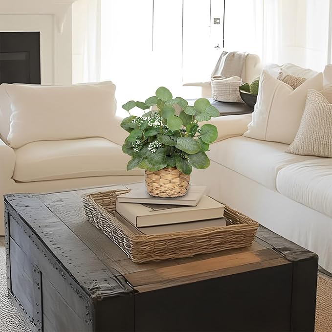 DILATATA Artificial Eucalyptus Stems in Woven Basket Planter, 12" Fake Plant Eucalyptus Leaves with Green Seeds Faux Potted Plant Greenery for Table Centerpiece Office Indoor Home Decor