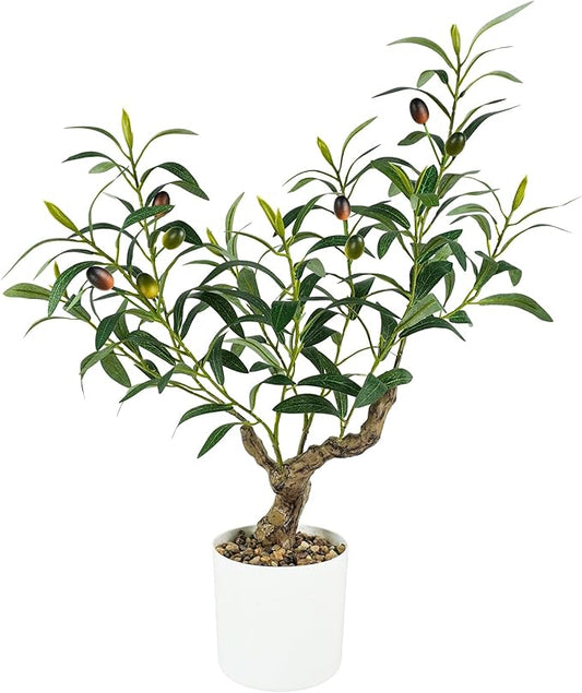 Fake Olive Plants 2FT, Artificial Small Olive Tree Indoor, Faux Potted Plants Decor for Tabletop, Desk, Shelf, Office, Kitchen, Living Room, Bedroom, Bathroom