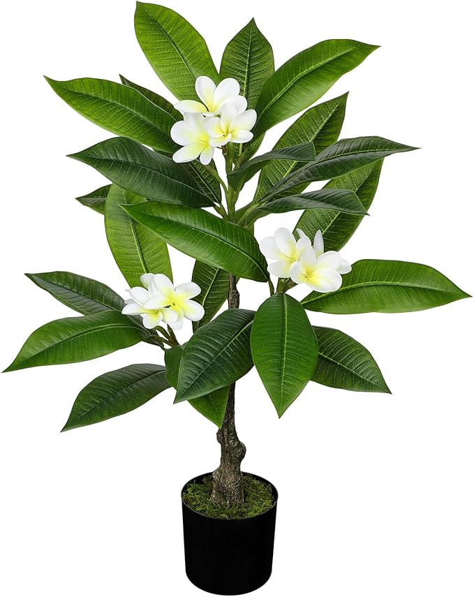 Briful Artificial Plants Indoor 26.77'' Fake Tropical Plumeria Flowers Tree Plants in Black Pot Hawaiian White Plumeria Rubra Faux Frangipani Tree Floor Plant for Home Office Wedding Decor