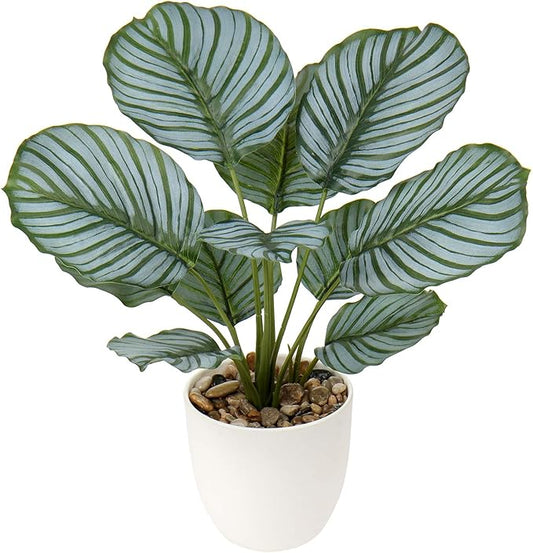 Briful 18'' Tall Fake Plant Realistic Faux Calathea Plant Artificial Plant for Home Decor Indoor Fake House Plant in White Pot for Living Room Bathroom Kitchen