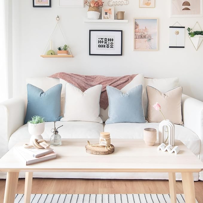 MONDAY MOOSE Decorative Throw Pillow Covers Cushion Cases, Set of 4 Soft Velvet Modern Double-Sided Designs, Mix and Match for Home Decor, Pillow Inserts Not Included (20x20 inch, Beige/Light Blue)