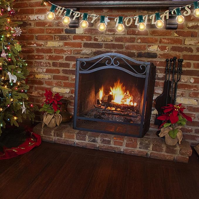 25Ft Outdoor String Lights, G40 Globe Patio Xmas String Lights with 27 5W Clear Warm White Globe Lights, Vintage Christmas Lights UL Listed for Holiday Party Backyard Christmas Wedding Garden Decor