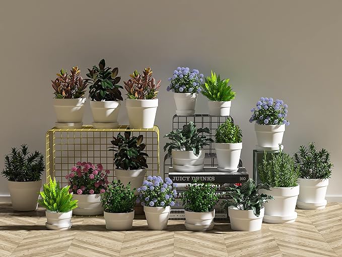 54 Pcs Small Mini White Clay Pots 2.1'' Terracotta Pot Clay Ceramic Pottery Planter Cactus Flower Pots Succulent Nursery Pots- Great for Window Boxes, Cactus, Plants, Crafts, Wedding Favors…