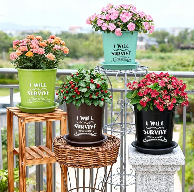 NIKONIKO 8 Pack 6.5 Inch Plant Pots, 4 Colors Pots for Plants, Flower Pots with Drainage Holes and Bottom Support, for Indoor & Outdoor Garden Home Plants