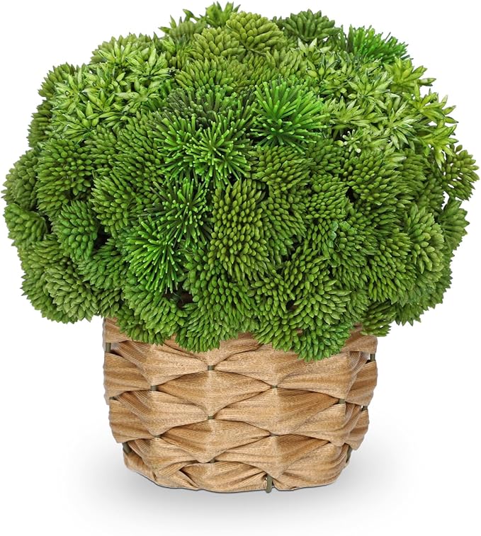 Briful Succulent Plants Artificial Small Faux Succulents Arrangement in Woven Basket Fake Silk Plants Indoor for Home Office Table Centerpiece Shelf Bathroom Decor