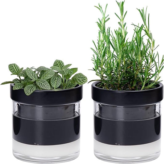 Phoenix Vine 4 Inch Self Watering Planter Pot, Black Terracotta Clay Pot with Glass Reservoir for Indoor Plants, Herbs, Flowers, Set of 2, 52-C-E-2