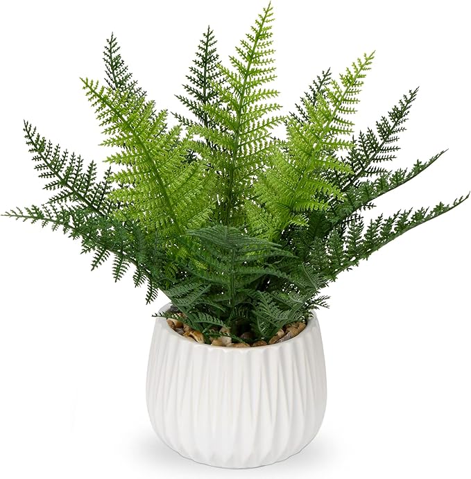 DILATATA Faux Plant Indoor in Ceramic Pot 13" Artificial Potted Fern Fake House Plants for Desk Office Bathroom Garden Decoration