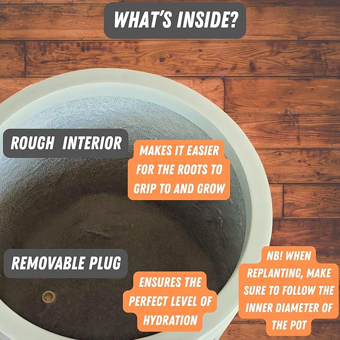 Fox & Fern 8 Inch Plant Pot with Drainage Plug — Premium Lightweight Fiberstone Matte White Planter; Indoor & Outdoor Planter; 8 Inch Pots for Plants; Weather Resistant & UV Resistant