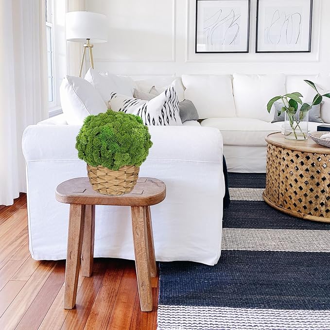 Briful Succulent Plants Artificial Large Fake Succulent Arrangement with Rattan Basket Planter Faux Plants Indoor for Home Office Room Table Centerpiece Shelf Decor