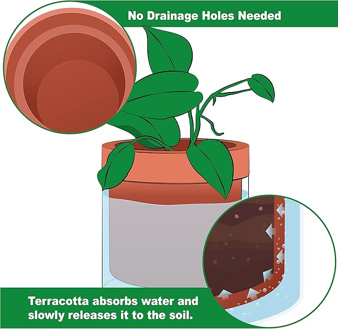 Phoenix Vine 6 Inch Self Watering Planter Pot, Terracotta Clay Pot with Glass Reservoir for Indoor Plants, Herbs, Flowers, Set of 1, 52-A-F-1