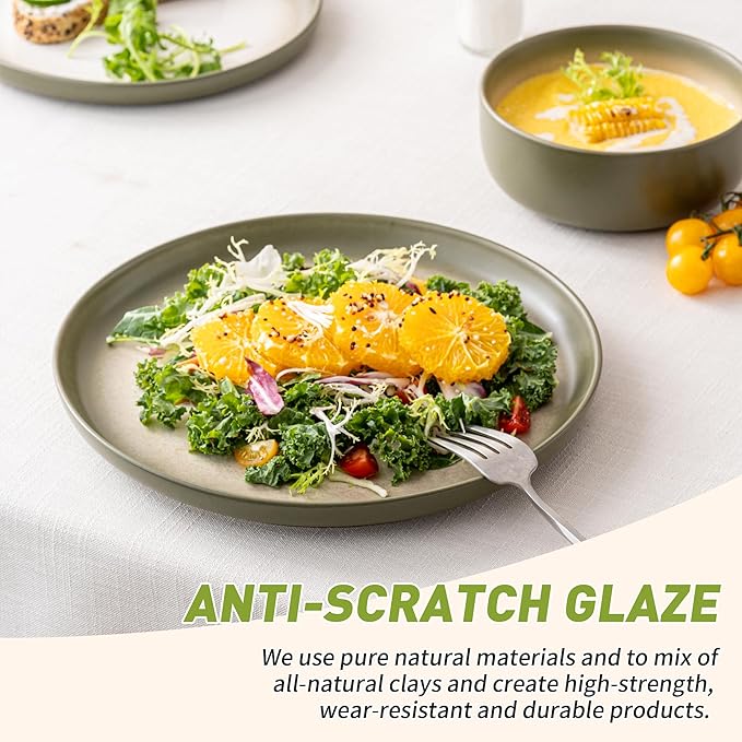 12 PCS Stoneware Dinnerware Sets, Plates and Bowls Set for 4, Reactive Glaze Dishes Set for Kitchen Dinning, Microwave & Dishwasher Safe, Lichen Green