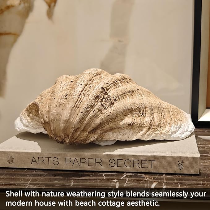 Medium Pearl White Weathering Scalloped Clam Shell Bowl Sea Shell Decor for Nautical Beach House,Coastal Decor Gift of Housewarming and Wedding Party