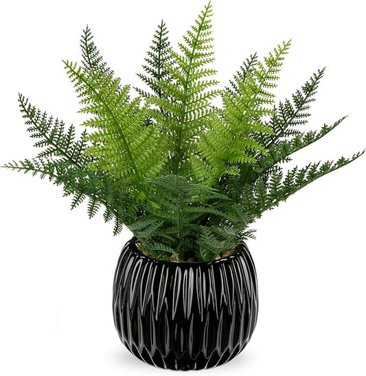 DILATATA Faux Plant Indoor in Ceramic Pot 13" Artificial Potted Fern Fake House Plants for Desk Office Bathroom Garden Decoration