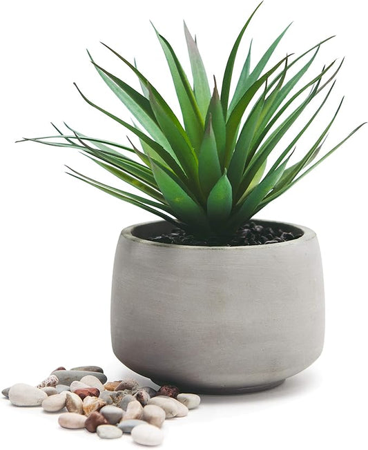 Kurrajong Farmhouse Artificial Plant Indoor | 7" high Fake Plant | Artificial Succulent in Pot | Fake Succulent | Faux Plant in Pot for Desk Decor