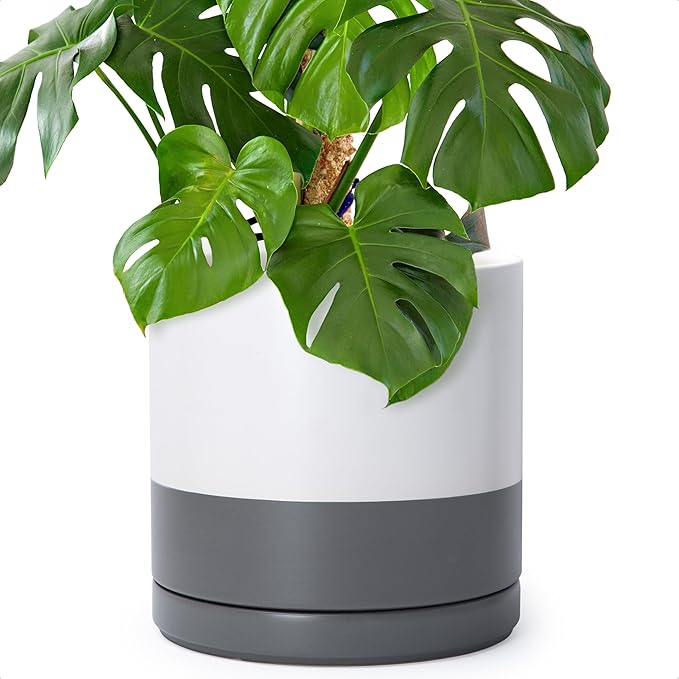 D'vine Dev 12 Inch Ceramic Planter Pot with Drainage Hole and Saucer, Indoor Cylinder Round Planter Pot, White/Speckled Grey, 94-O-F-6