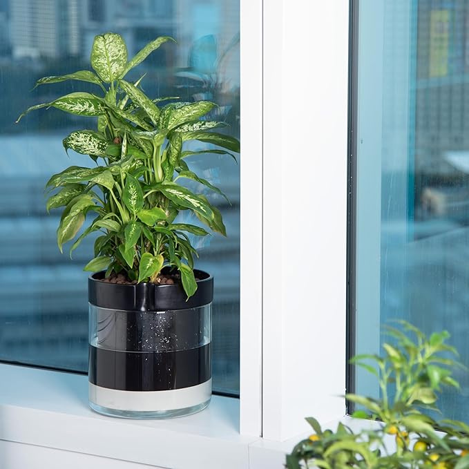 Phoenix Vine 10 Inch Self Watering Terracotta Planter, Black Terracotta Clay Pot with Glass Reservoir for Indoor Plants, Herbs, Flowers, Set of 1, 52-C-I-1
