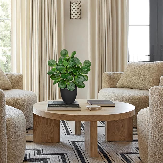 14.5" Artificial Plants Indoor Home Decor, Fake Potted Silk Plants for Shelves Living Room Decor, Small Artificial Office Desk Plants in Pots, Faux Peperomia Hope Tropical House Plant, Sets of 2