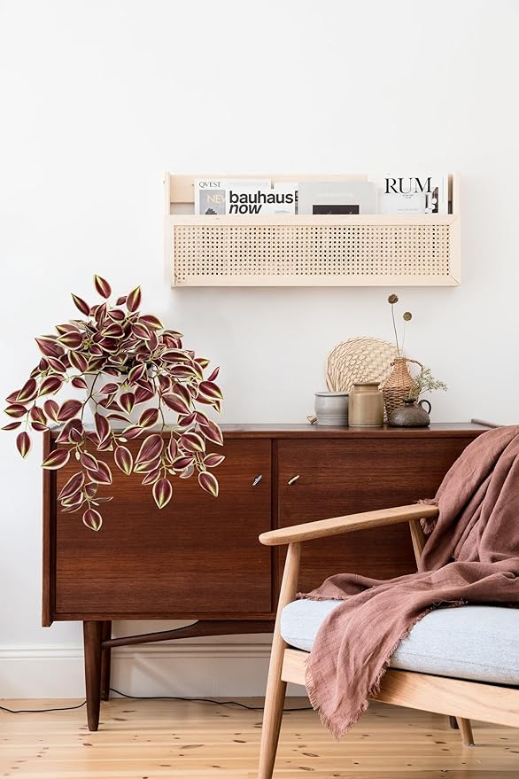 Briful Faux Plants Indoor Fake Potted Silk Plants Artificial Watermelon Peperomia Draping Plant for Home Office Room Kitchen Shelf Cabinet Tabletop Decoration(Dark Red - 1 Pack)