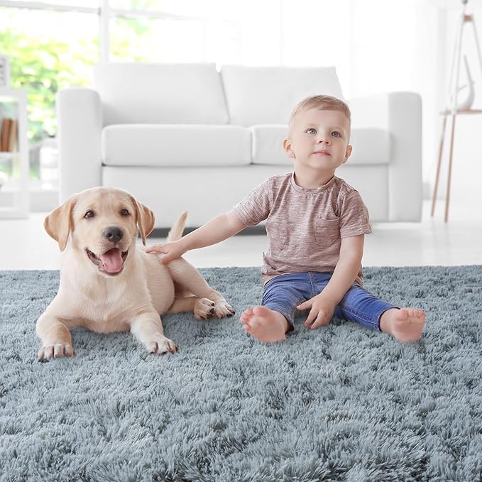 5x7 Area Rugs for Living Room, Grey Fluffy Shaggy Rug Soft Carpets, Rugs for Bedroom Nursery Kids Room Dorm Home Decor Aesthetic