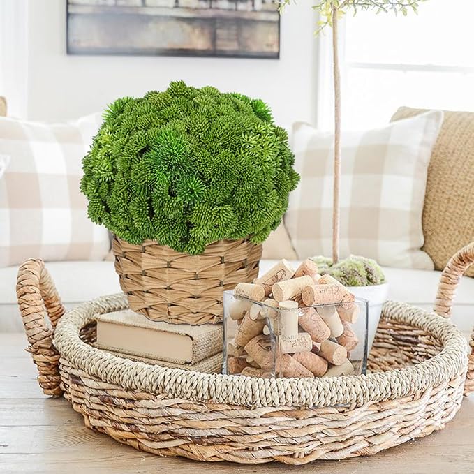Briful Succulent Plants Artificial Large Fake Succulent Arrangement with Rattan Basket Planter Faux Plants Indoor for Home Office Room Table Centerpiece Shelf Decor