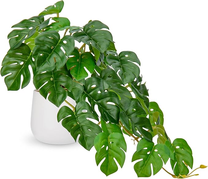 DILATATA Fake Plants Indoor 8 Inch Artificial Monstera Plant in White Ceramic Pot - Faux Potted Tropical Palm Plant for Home Aesthetic Decor Living Room Shelf Office